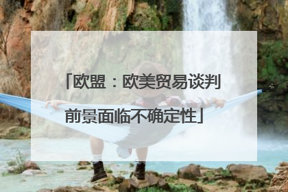 欧盟：欧美贸易谈判前景面临不确定性